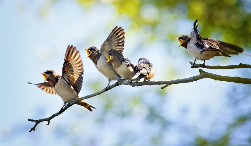 

HBX 2192/2193/2195 1/18 2,4G 4WD Электрический гоночный автомобиль для дрифта — полностью пропорциональное управление, светодиодные фонари — идеальная игрушка для любителей дрифта