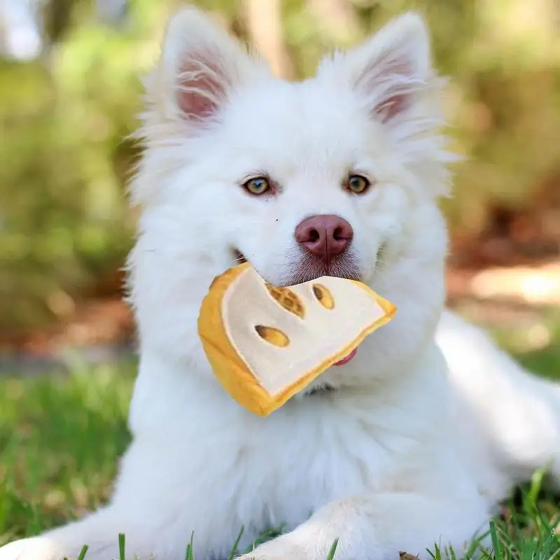 

Dog Sniffing Toys Orange Interactive Feed Puzzle For Boredom Plush Interactive Squeaky Feeder Puzzle With Crumpled Paper For