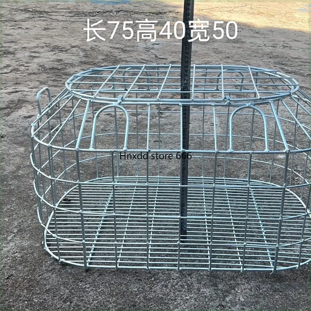 Special cage for piglet and paparazzi transportation