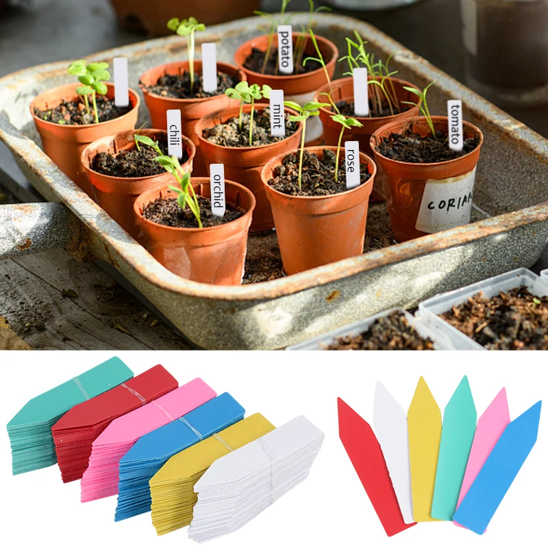 100pcs Garden Waterproof Plant Labels Plastic Plant Tags Nursery Markers Flower Pots Seedling Labels Tray Mark Tools Mix Colors