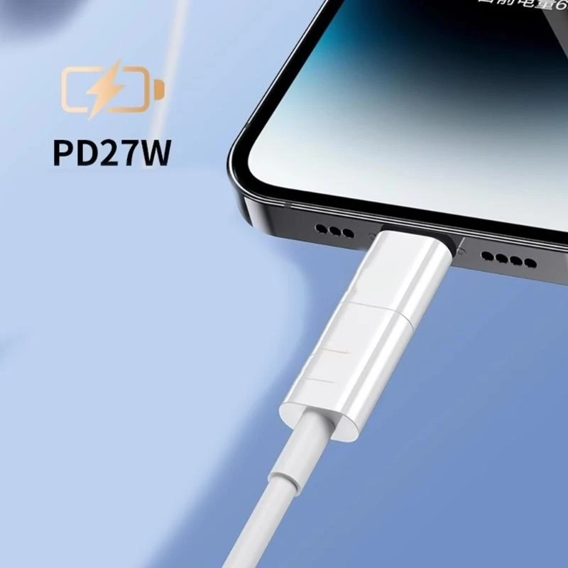 Portable 4pcs Lightnings to Type C Adapter Safe and Long-last Use Support Charging & Data Syncing Type C Charger Adapter 896C