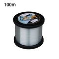 A               100m