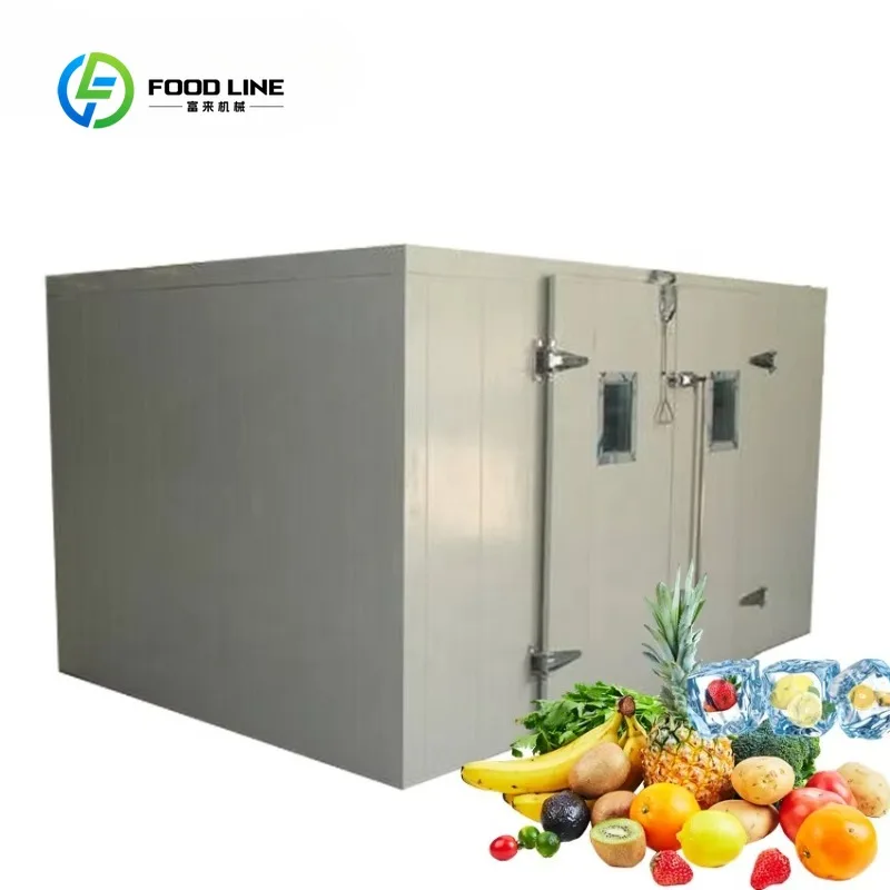 Custom Ultra Low Temperature Cold Storage Room, Constant Temperature Freezer Warehouse for Agricultural Produce Fresh Keeping