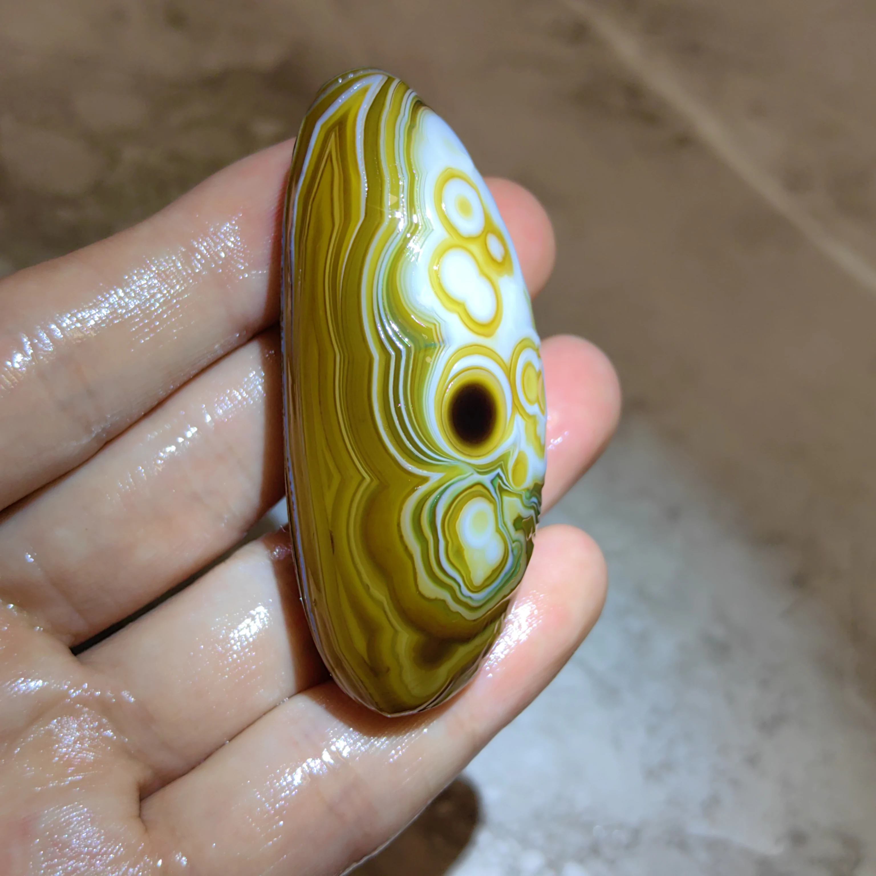 Rare Shuttle Multi-eye Divine Eye Sardonyx Raw Crystal Specimen, Alternating Brown White Banded Haut-relief Texture Eye Stone