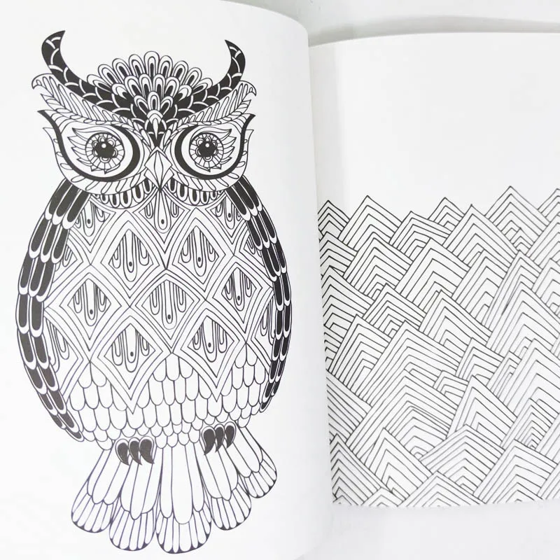 Animal Coloring Book, Coruja, Floresta, Graffiti