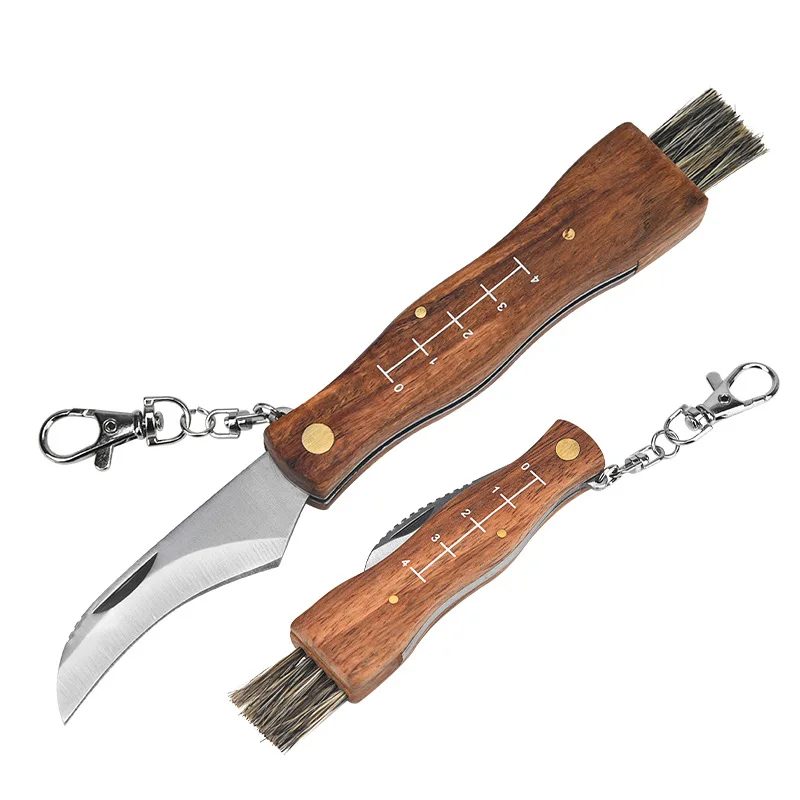 Mushroom Knife Fungus Knife Folding Camping Hunting Truffle Harvest Sharp Knives Natural Wood Handle with Bristle Brush SS Blade