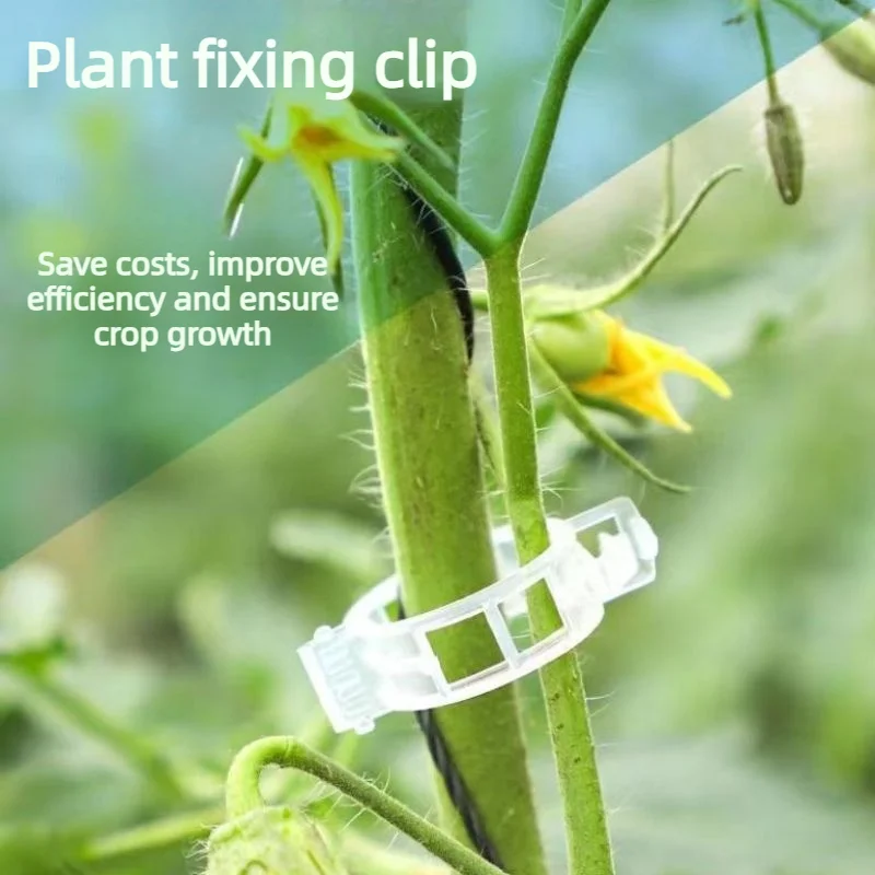 Plant Fixing Clips Vine Fastening Buckles Vegetable Seedling Support Holders Chili Eggplant Green Plant Shaping Garden Tools