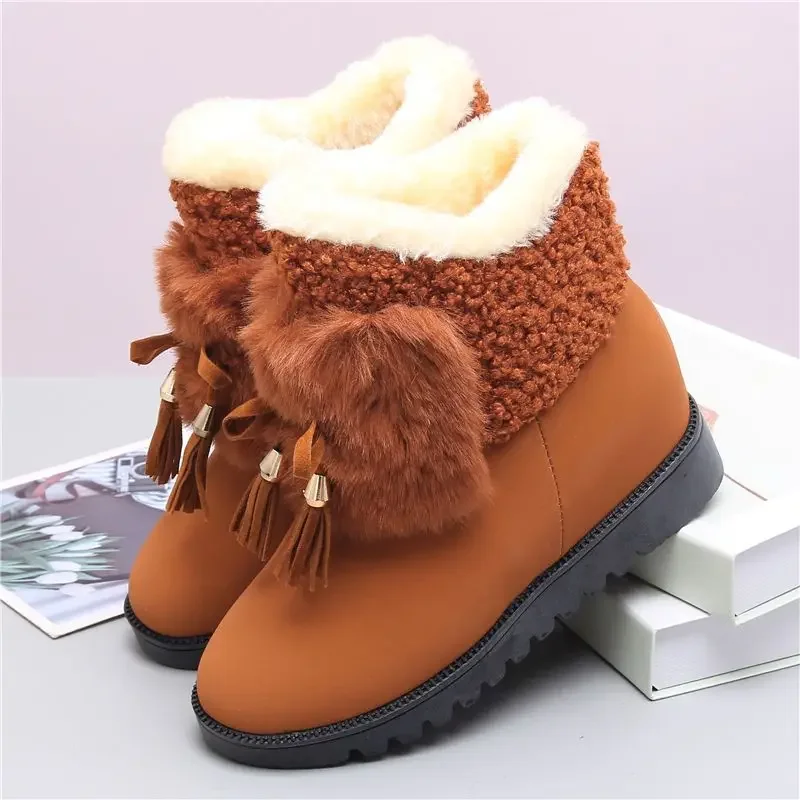 Women's Snow Boots Elegant with Low Heels Shoes for Woman Tassel Booties Ankle Brown No Slipery Winter 2024 on Promotion 39 Pu