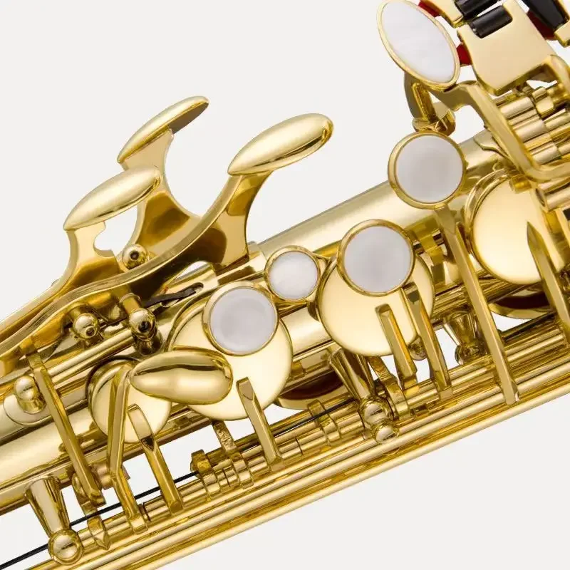 JBAS-200 Professional Band Student's Learning Saxophone Low E Tuning Other Horn