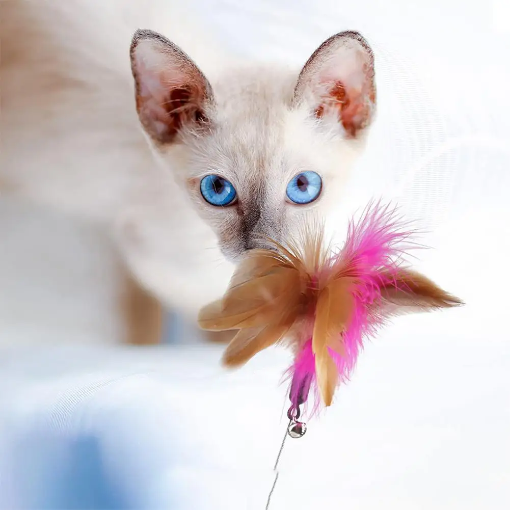 Cat Toys Feather Collar Self-healing Interactive Plaything Funny Cats Stick Multifunctional Collar Kitten Playing Pets Supplies