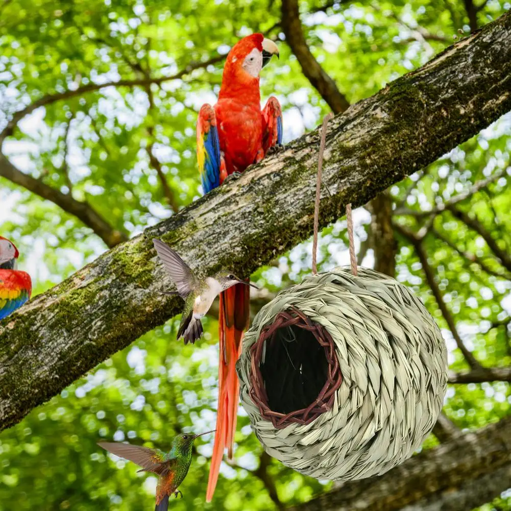 Bird House  Comfortable Porches Bird Egg  House  Dry And Sturdy Hummingbird House