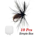 10Pcs