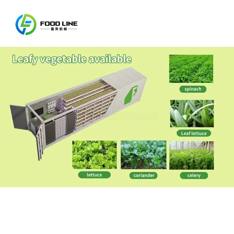 Automatic Hydroponics System 20ft Shipping Container Greenhouse for Leaf Vegetable Plant Factory Year Round 40ft plastic film