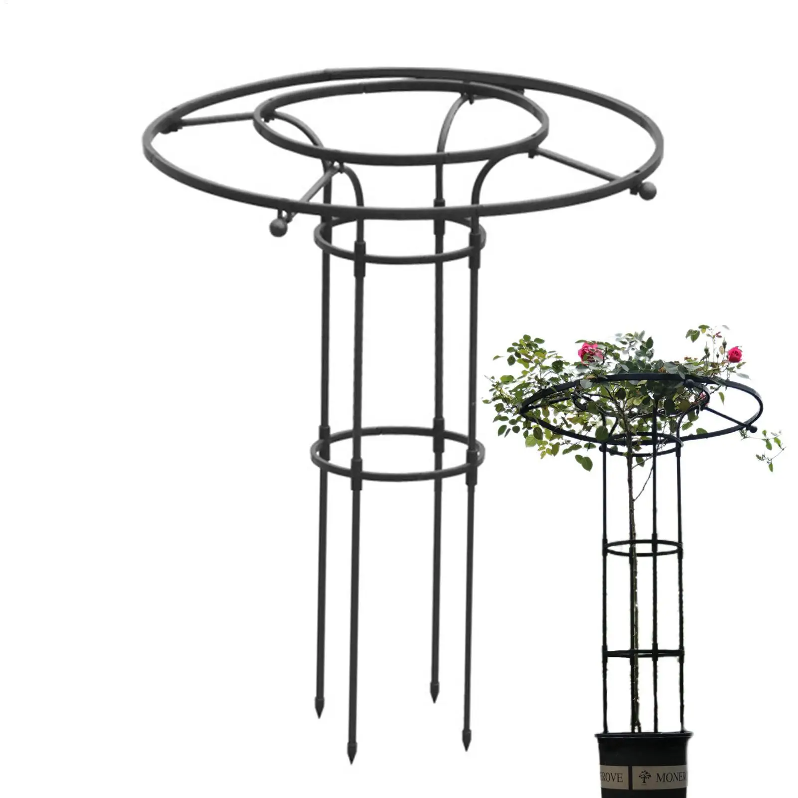 Treillis de jardin vertical en métal pour légumes, support pour plantes grimpantes, arbre à fleurs, et plantes d'intérieur