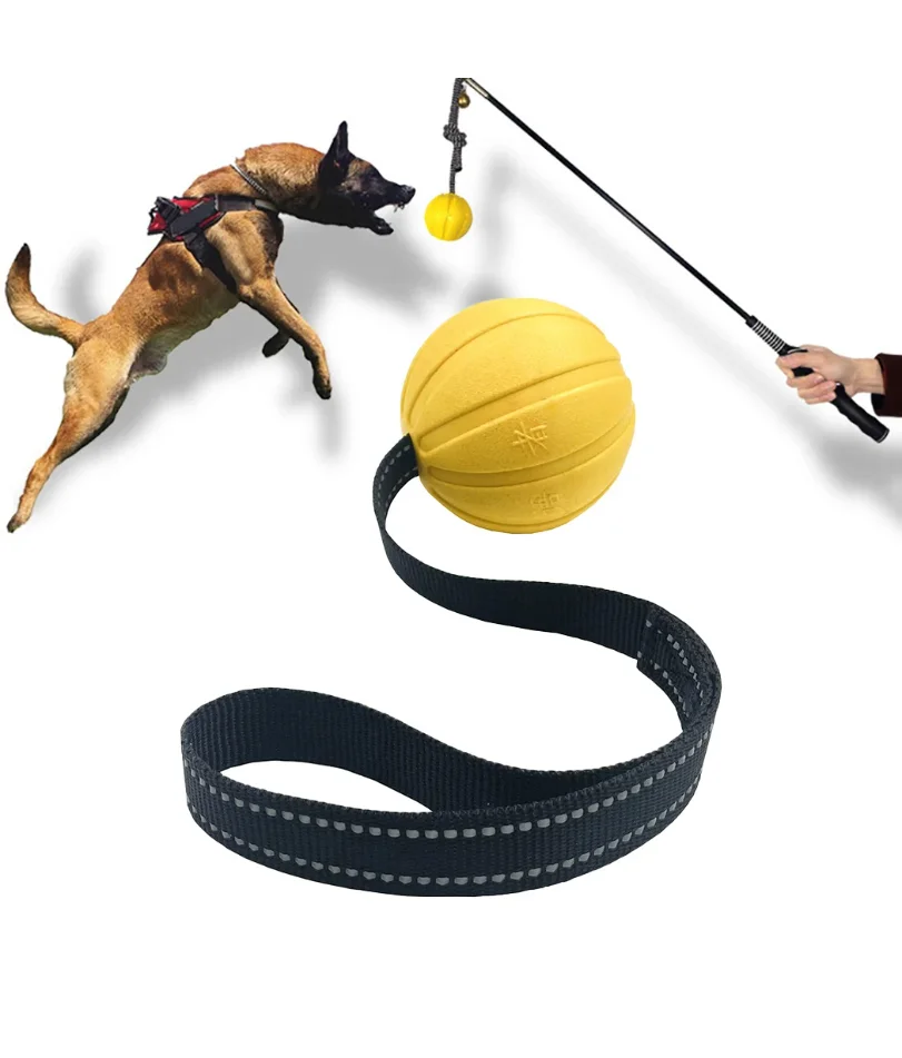 

Dog Toy Balls On a Rope for Small Medium Large Dogs Chewers, Durable Interactive Ball for Training Dogs, EVA Foam Ball Floats