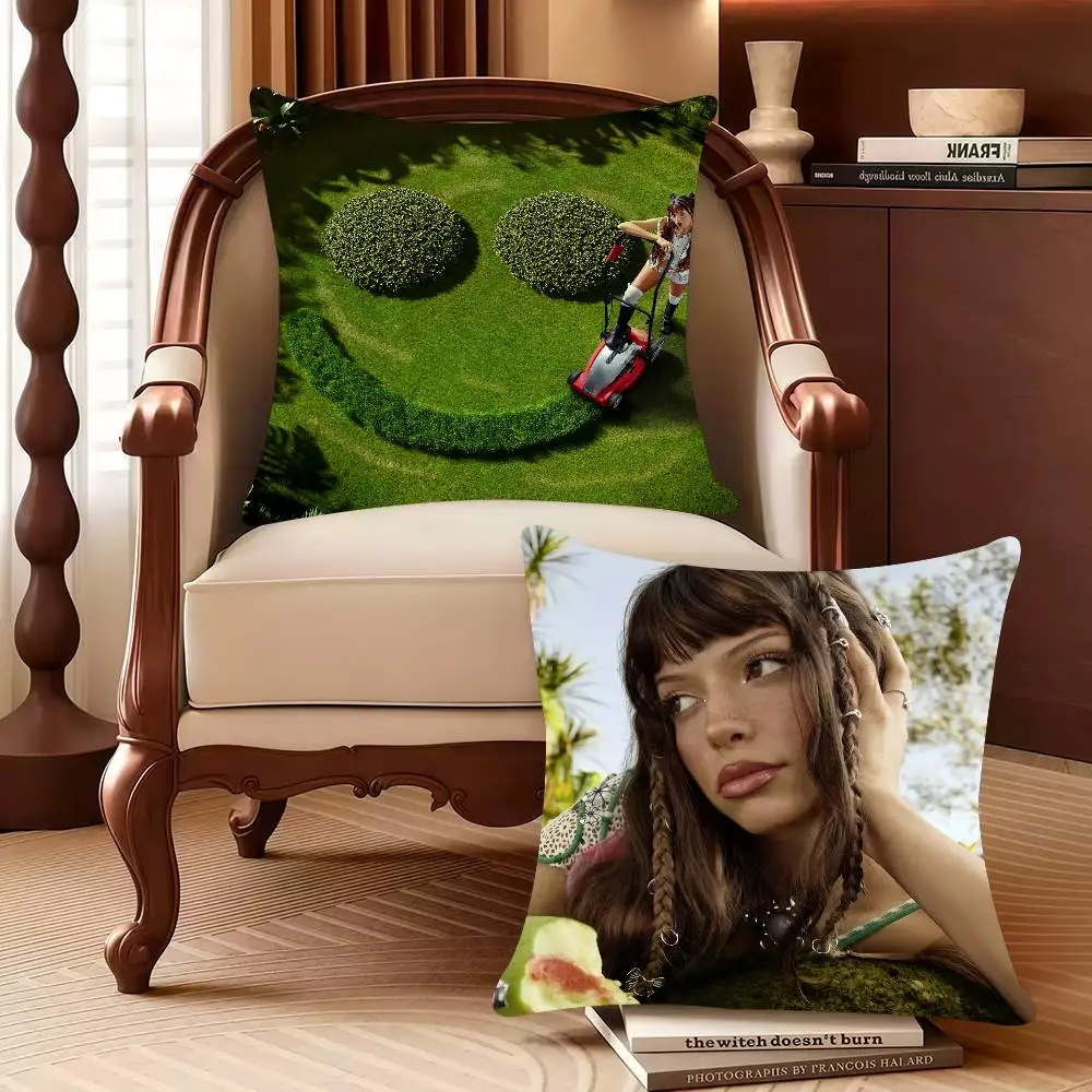 

N-Nina Chuba Ich lieb mich, ich lieb mich nicht Pillow Case Decor Protective Covers Comfortable soft for Sofa Living Room Home