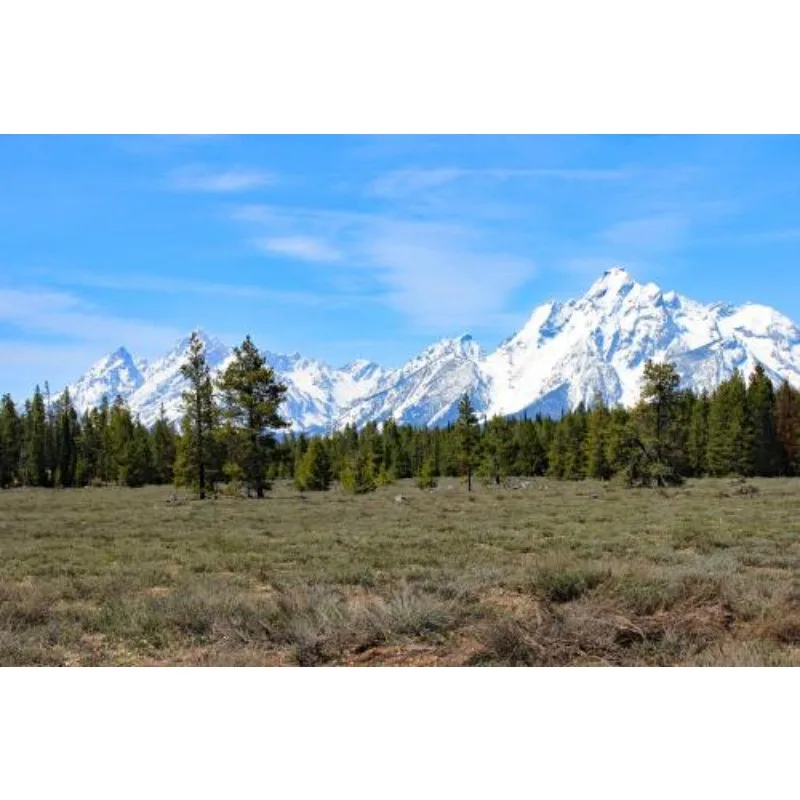 

BETAFPV Meteor75 Pro P1 High-definition Image Transmission Data Transmission Brushless Whole Machine FPV Remote Control Aircraft