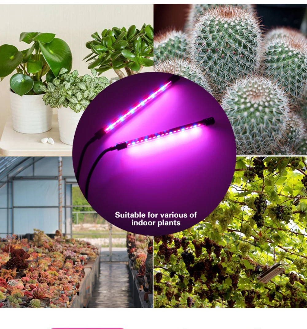 LED Grow Light Black Double Tube Gooseneck Clip Timing Dimming Aluminum Alloy 360 ° Hose 5V/10-20W/USB Powered (without Adapter)