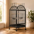 B093 Black Standard