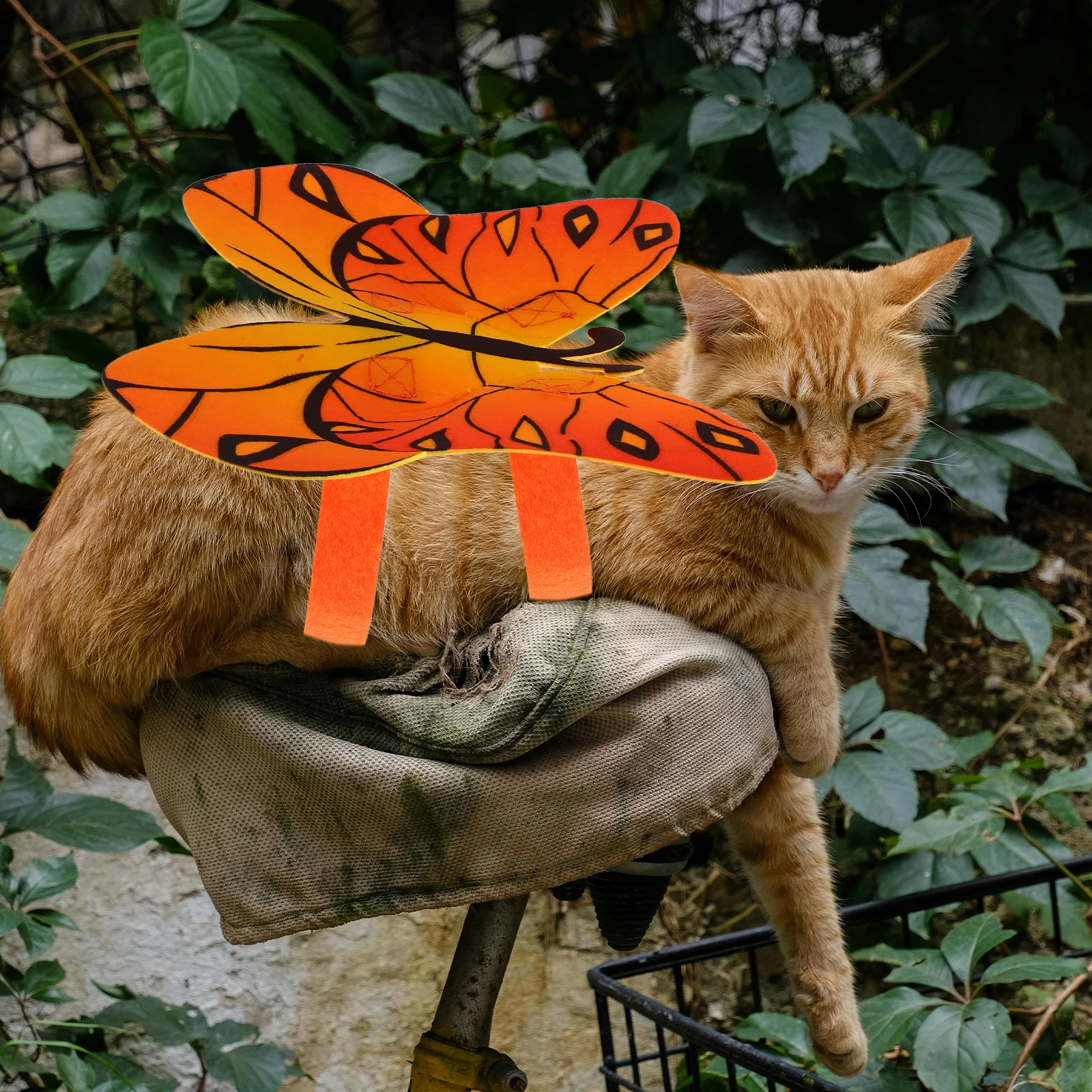 

Pet Costume Cat Dog Butterfly Wings Lightweight Cute Halloween Dress Up Party Photo Accessory Halloween Cat Costume
