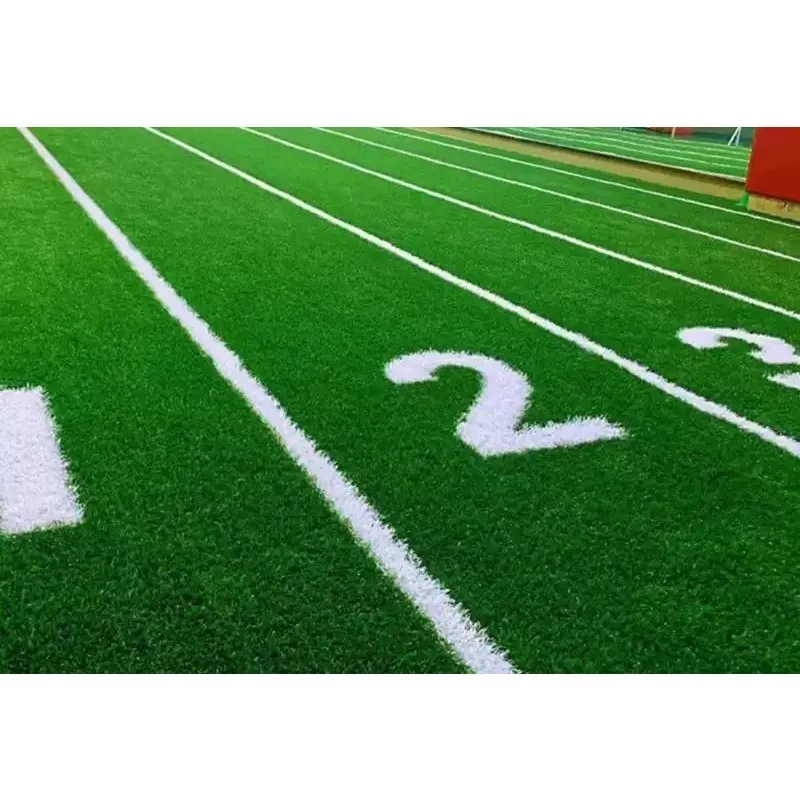 Gym Lawn Track Graduated White Line Artificial Turf, Sled Special Grass 1pcs