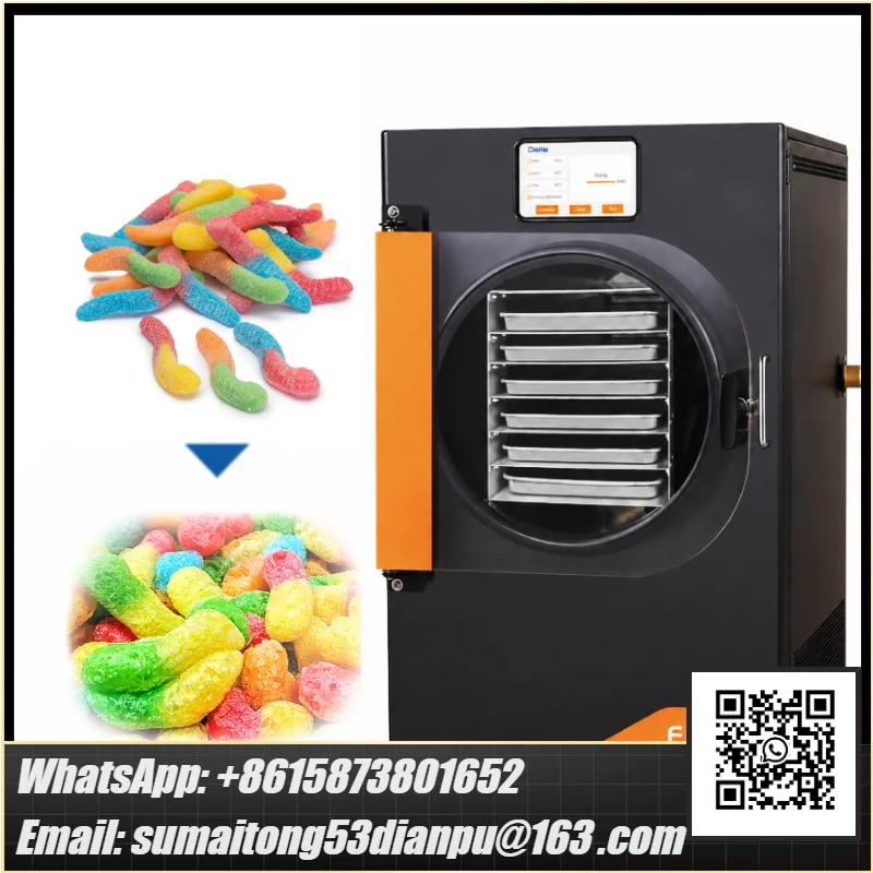 220V/110V 10KG Per Batch Vacuum  ze Dryer Easy-to-use for Fruits and Candy 6 Trays with 1 Year Warranty