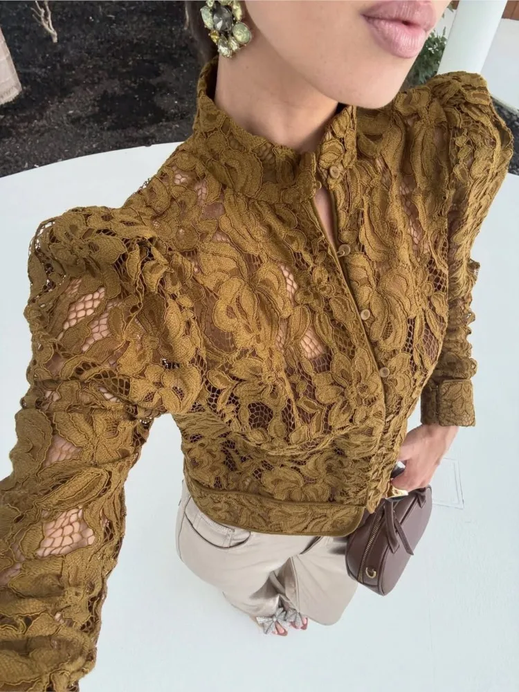 

2025 Spring Autumn Elegant Commuting Women's Shirt Fashionable Solid Color Lace Slightly Transparent Hollow Slim Long Sleeve Top