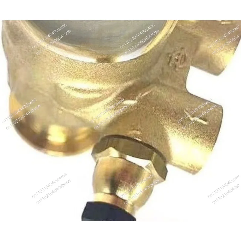 Original coffee machine water pump German rotary pump head