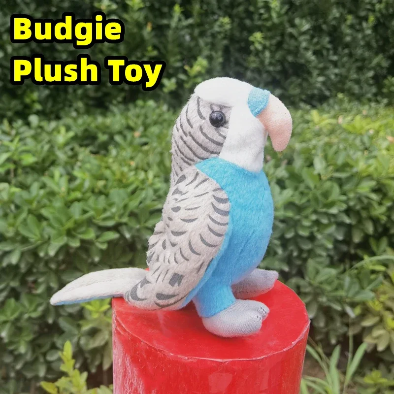 

Реалистичный попугай Budgerigar, высококачественная милая плюшевая плюшевая игрушка Budgie, реалистичная птица, мягкая игрушка, имитация куклы, подарок для ребенка
