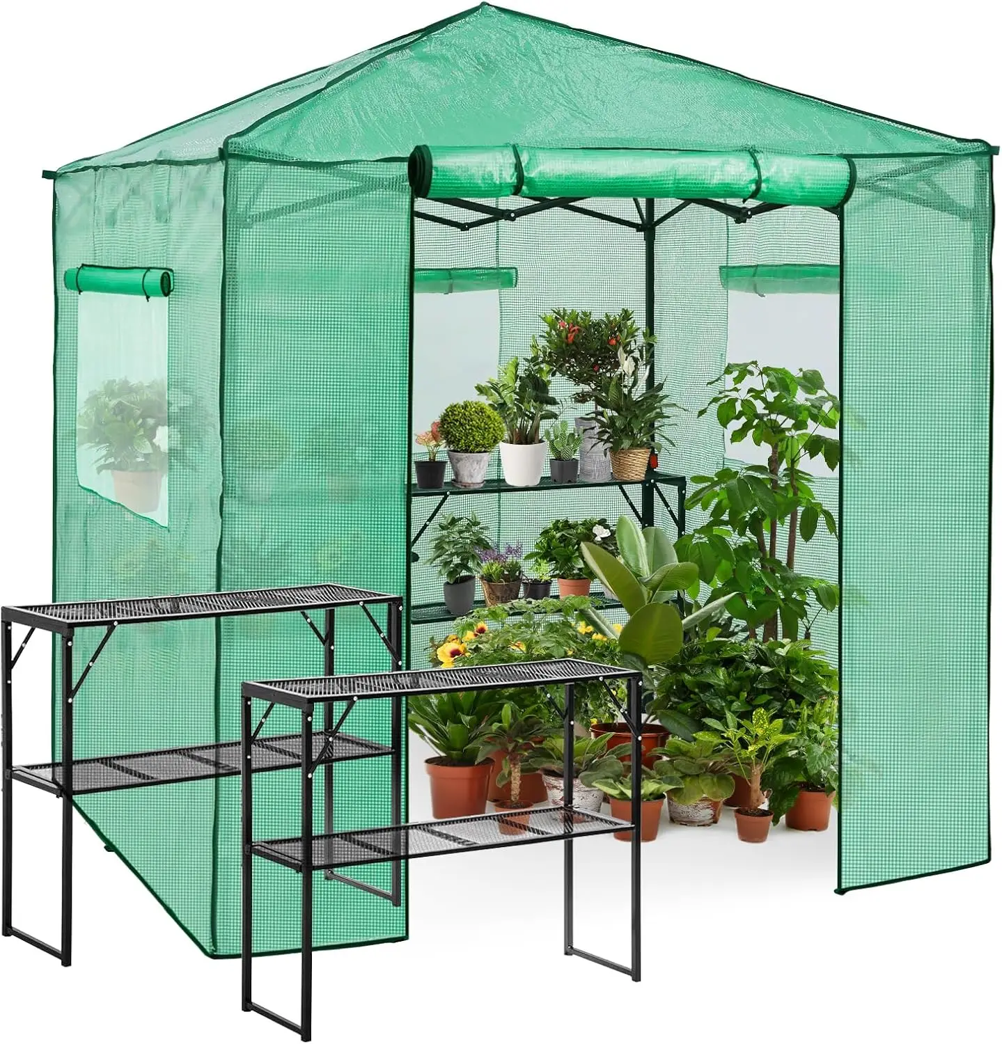 7x7 Pop up Greenhouse Portable Walk-in Outdoor Gardening Green House with 2 Foldable Shelves, Roll-up Zipper Entry Door and 3