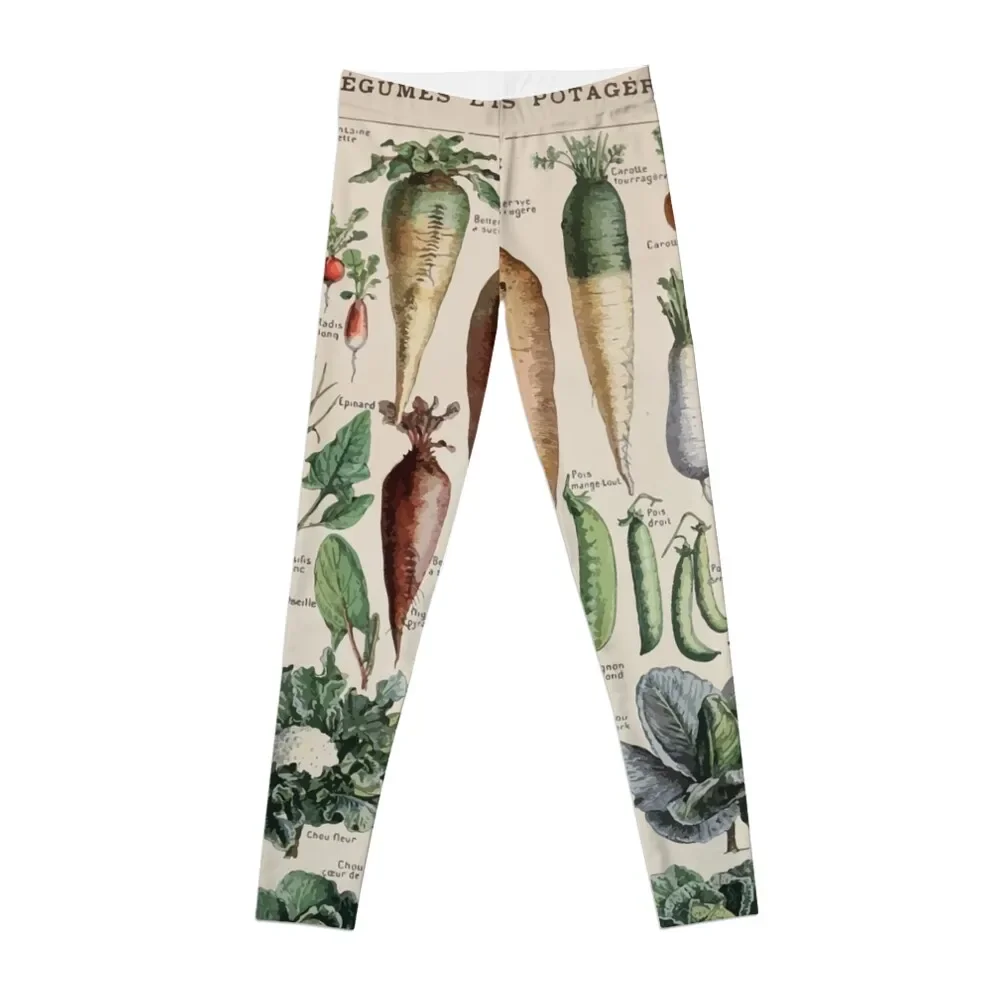 

Adolphe Millot legume et plante potageres pour tous Leggings Leginsy push up gym womans Womens Leggings