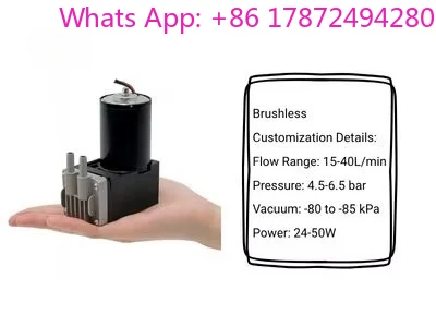 6Bar High Pressure 35L Brushless Diaphragm Pump 12V/24V for Beauty Medical & Rescue Equipment Analyzer Use