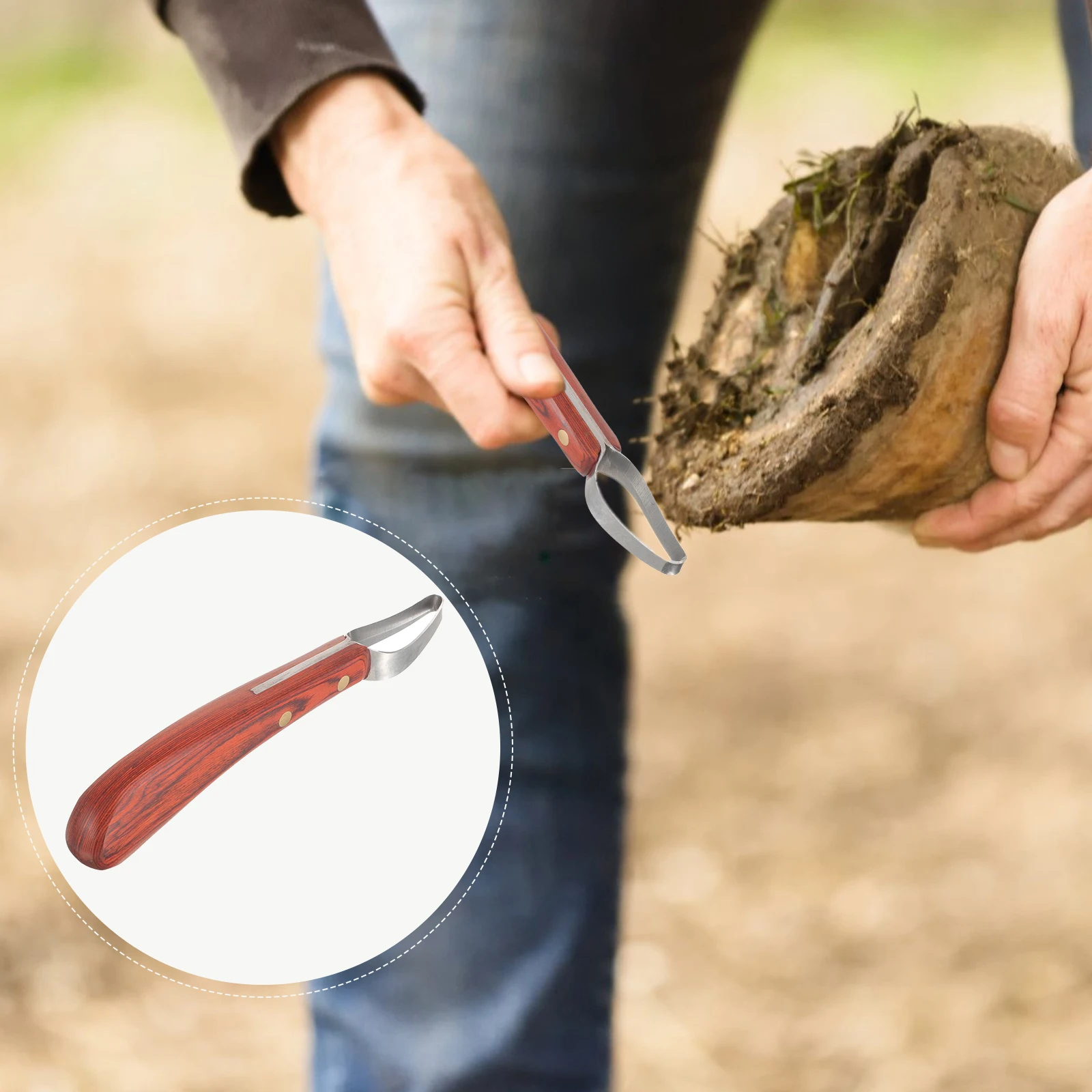 

Hoof Trimmer Manganese Steel Manganese Steel Hoof Peach Wood Handle Compact Professional Goat Horse Care Tool
