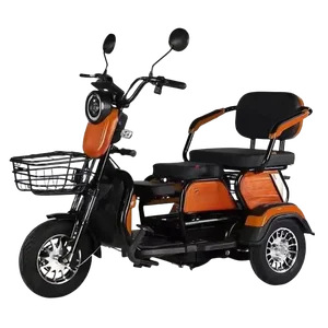 Mini -Elektromotorrad mit Stahlrahmen für ältere Menschen, 3 -Rad -Roller, Klappereien, Freizeit, neues Modell, 60 V, 500W, 2023 9 Haupt 3 -Rad -Mota -Verkauf - №4