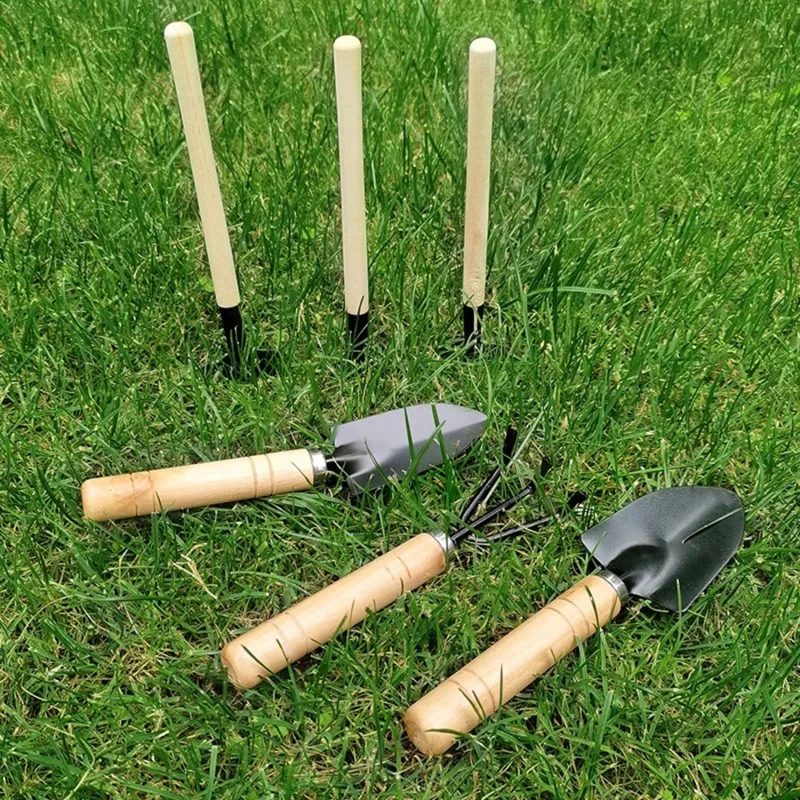 Mini juego de herramientas para macetas, herramientas de aflojamiento de jardinería suculenta, planta de mano al aire libre, rastrillo de pala de flores, 3 piezas por juego