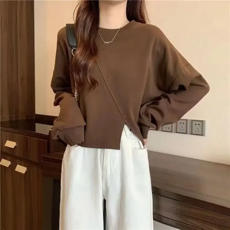 2023 New Fall Trend Casual Long Sleeve Pullover Top Embroidered Oversized Brown Y2k Sweatshirt Ladies Winter Fashion Clothing