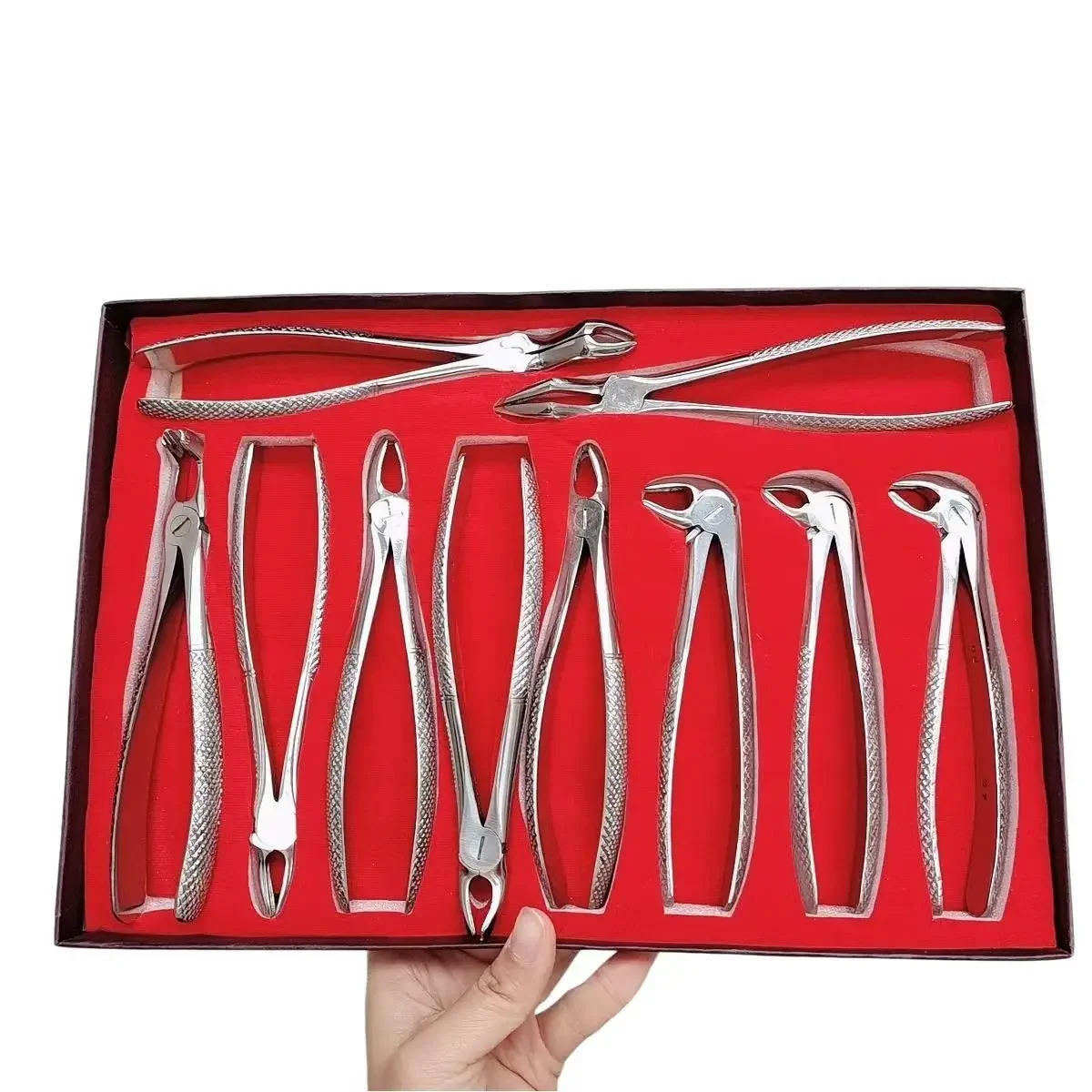 Dental Extraction Forceps Set 10 Pcs Stainless Steel Ergonomic Autoclavable