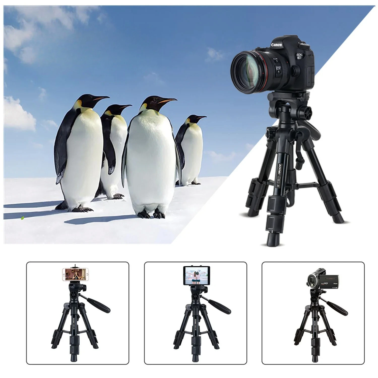 ZOMEI Q100 52cm Lightweight Aluminum Mini Camera Tripod 360° Pan Head Quick Release Plate with Carry Bag for Travel Desktop Vlog