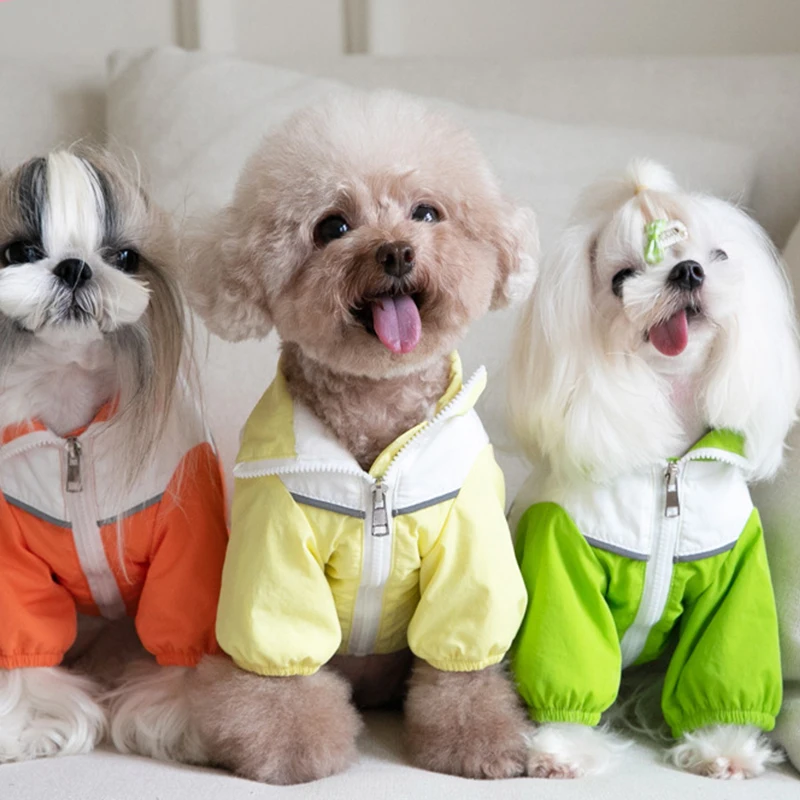 防水冬の犬のコート,ペットの服,小,中,大,フレンチブルドッグ,チワワ,ヨーキー,子犬の服