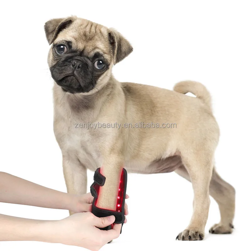 Built in battery 660nm 850nm near infrared red light therapy pad 0 EMF for dogs cat pet pain relief Paw