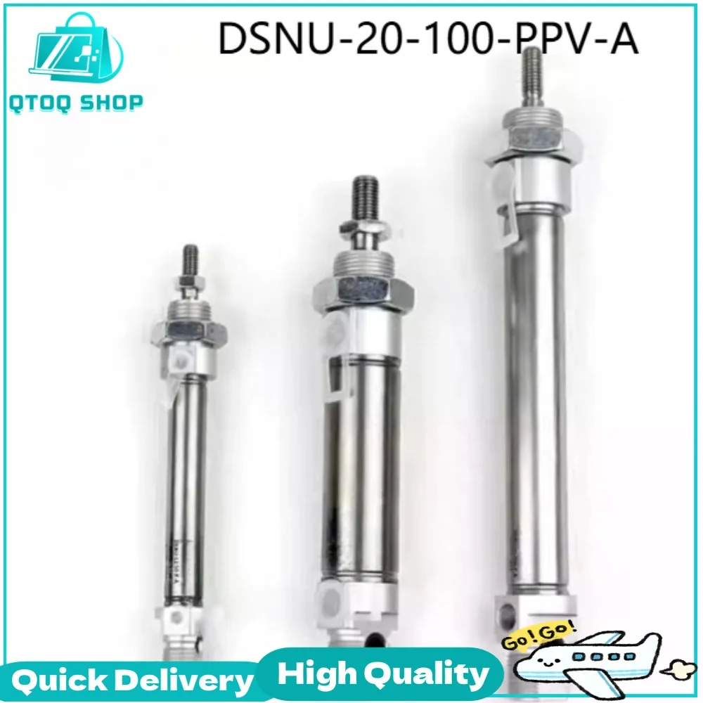 DSNU-12-16-15-20-25-30-40-50-60-80-100-PPV-P-A-MQ Cylinder