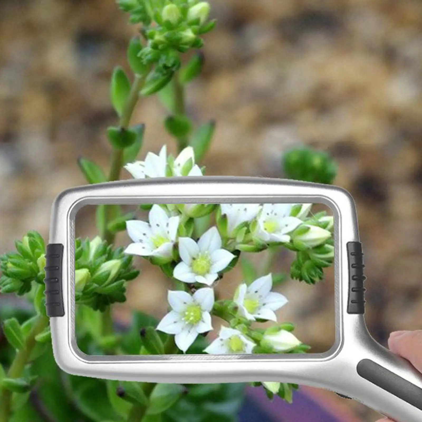 عدسة مكبرة محمولة باليد وخرز مصباح LED 10x لإصلاح القراءة لكبار السن #2