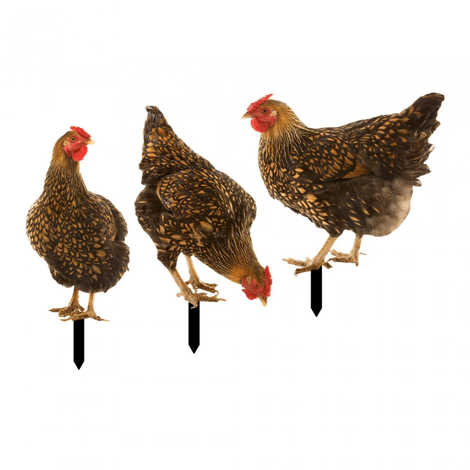 Acrylic Patio Stakes Hen Stakes Garden Hen Decoration Animal Statue Stakes Outdoor Pathway Lawn Roosters Chicken Animal Decor