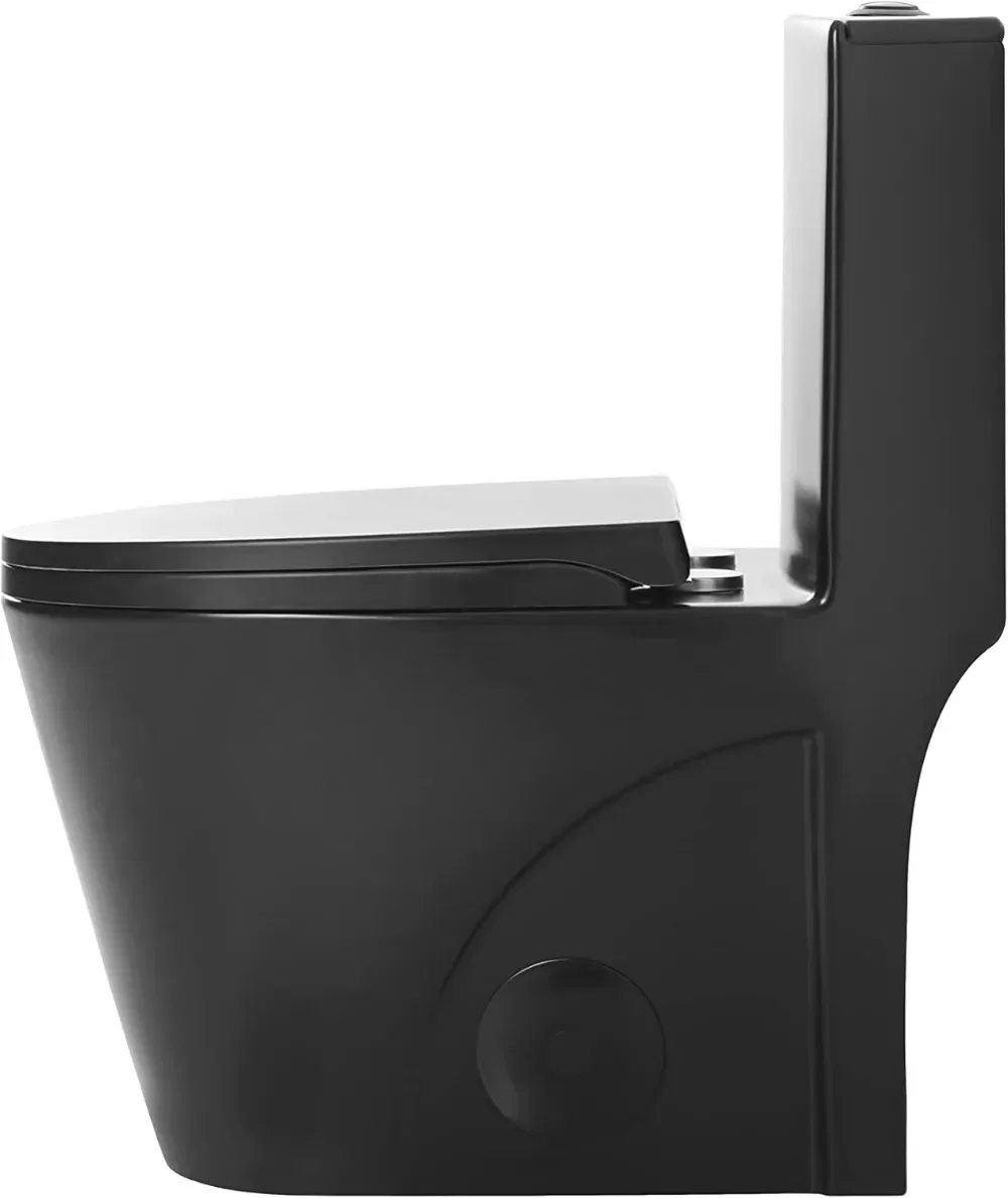 Fine Fixtures Dual-Flush Elongated One-Piece Toilet with High Efficiency Flush (Matte Black)