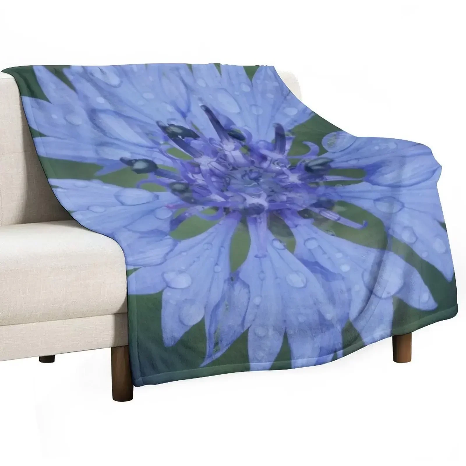 

Cornflower blossom cornflower blue raindrop wet flower blue Throw Blanket valentine gift ideas Personalized Gift Blankets