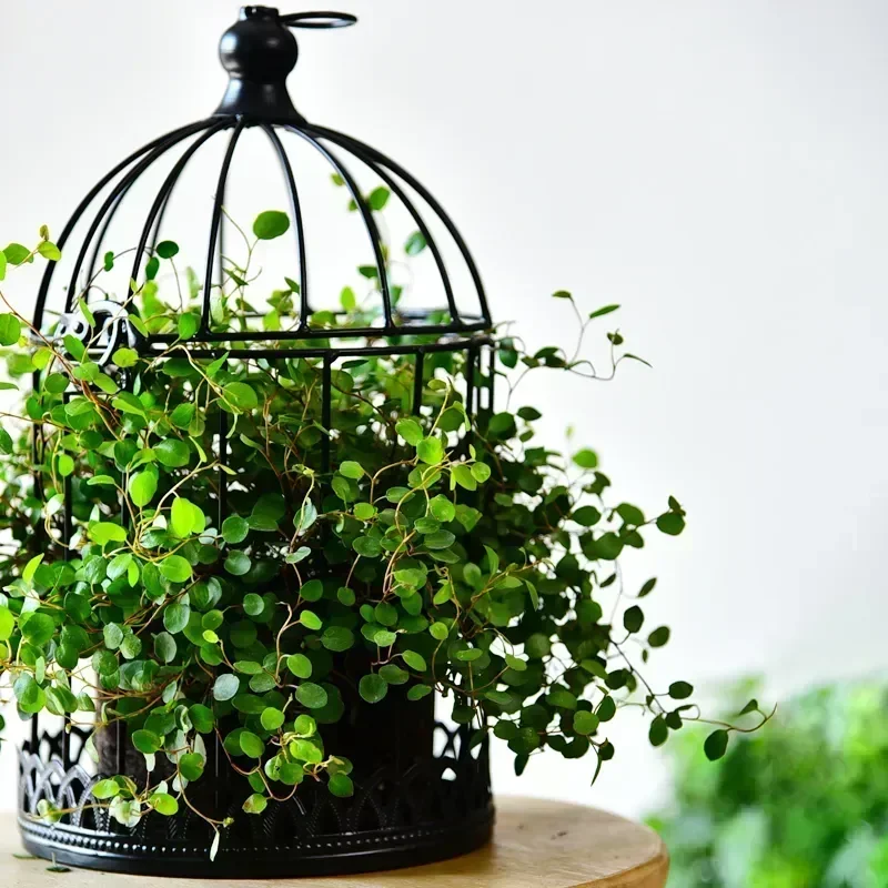 

Wedding Photography Flower Wrought Decoration Floral Iron European-style Birdcage Decoration Arrangement Window Props