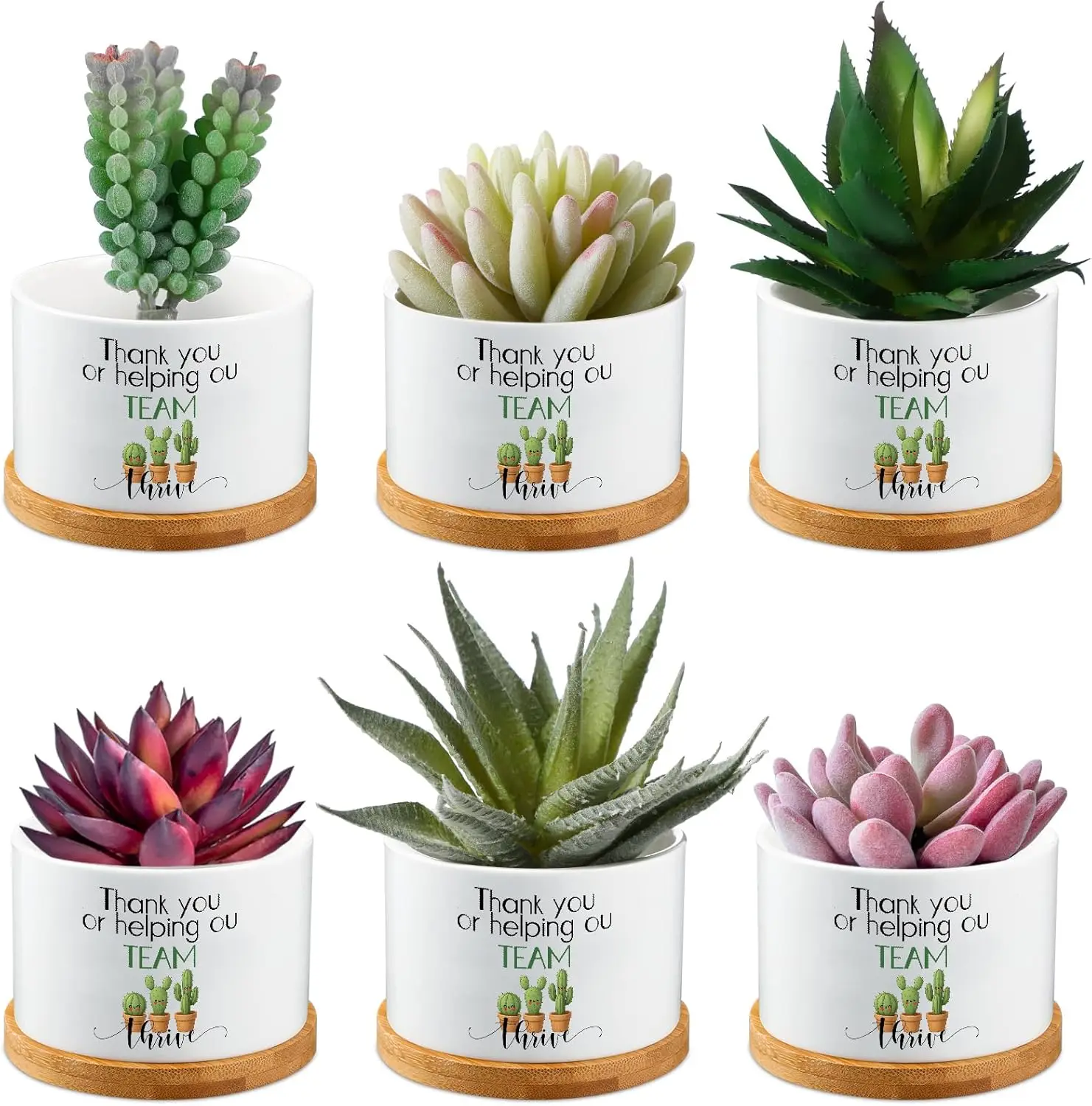 

6 Pcs Employee Appreciation Gifts Mini Ceramic Succulent Pots Thank You Plant Cactus Pot with Bamboo Tray for Teacher So