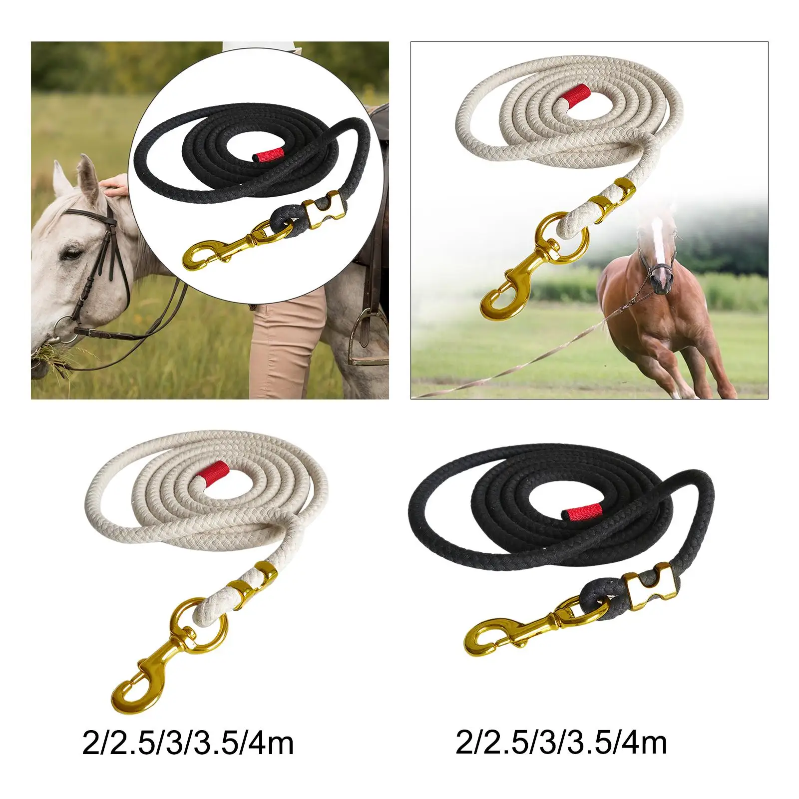 Corde de plomb pour chevaux, laisse de cheval, ULd'entraînement et de marche