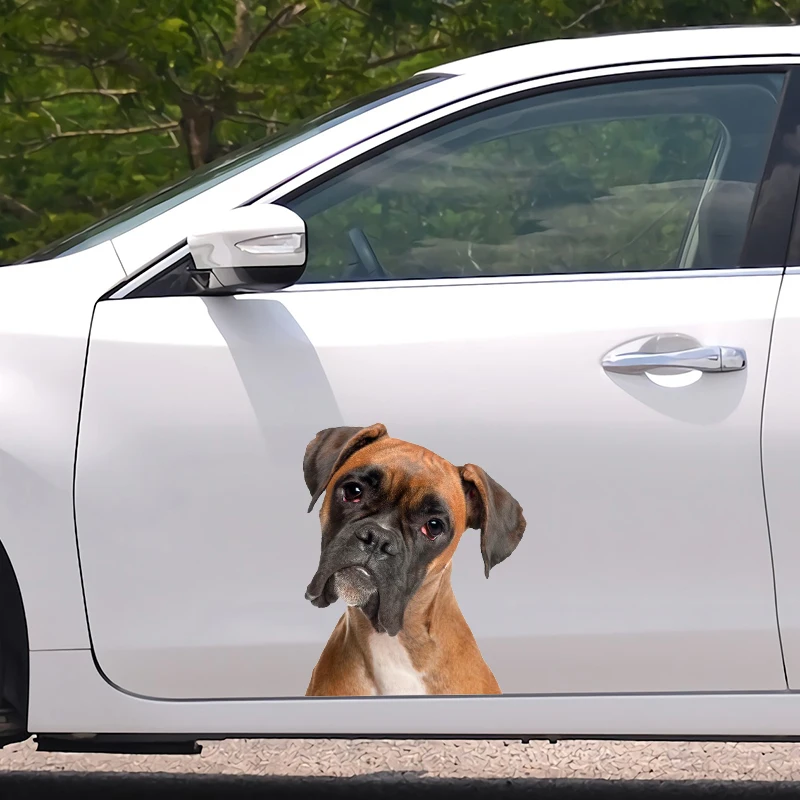 Car Sticker Boxer Dog Waterproof Vinyl Decal Car Accessories Decor Pegatinas Para Coche #V1357