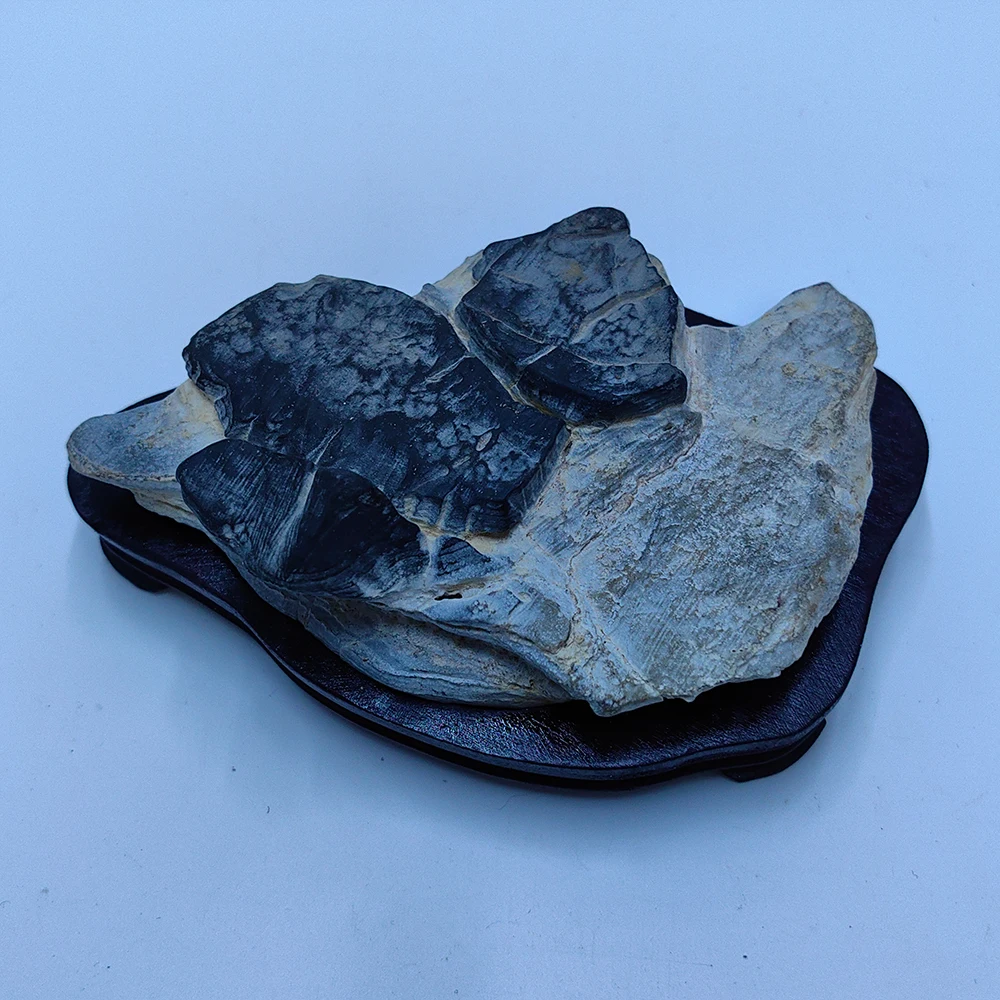 1PC Asian Natural Stones Mountain Series Men Gift Piedras Decorativas Room Decoration Office Decoration Stone Cadeau Homme Rock